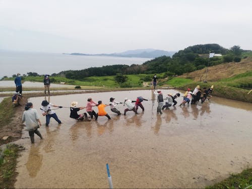 田んぼでのイベント風景