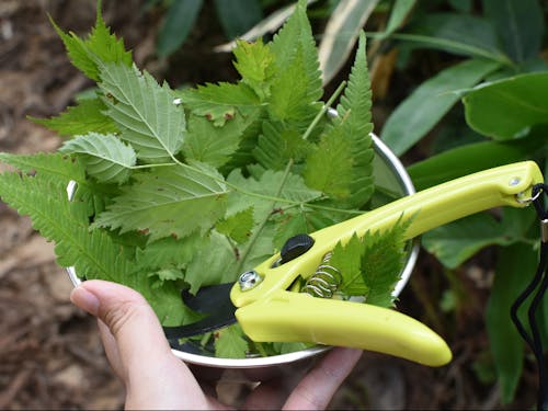 お気に入りの香りを探しましょう