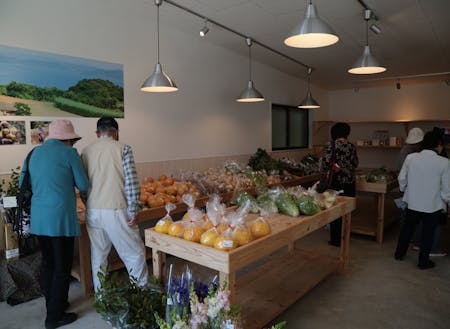 俵ヶ浦半島の活性化を目的に2018年4月にオープンした軽飲食店「半島キッチン ツッテホッテ」。