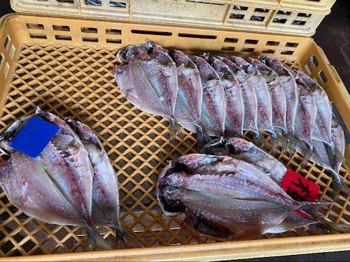 美味しい干物の作り方を教えてもらいましょう