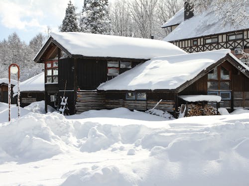 自然の中で仕事ができる環境、白馬ベース