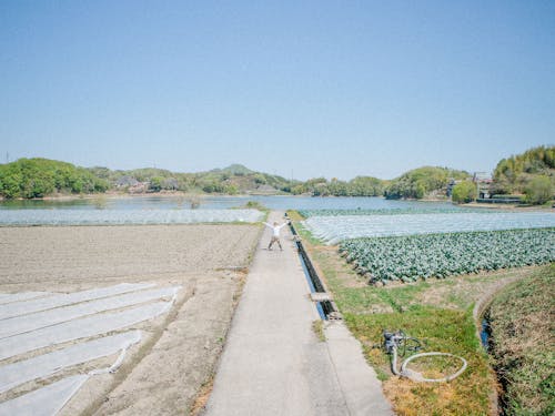 その日の地域の景色を教えてもらうのも嬉しい日課!
