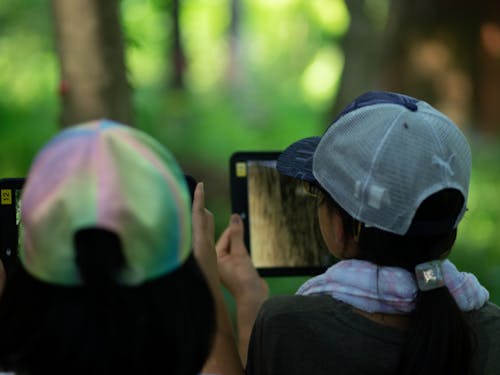学びも森の環境を活かす