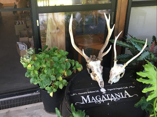 ヴィーガン&オーガニックな森カフェのMAGATANIA