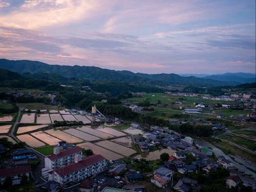 野村町の愛宕山公園の展望台からみる町の風景