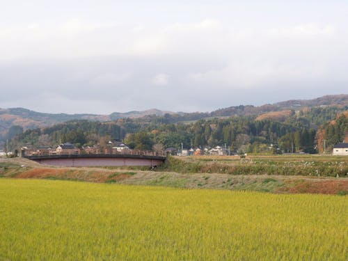 いわさきストアのある余川地区。周囲にはのどかな田園風景が広がります。