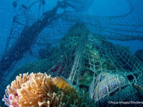 海に漂うゴーストネット