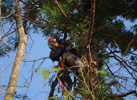 村澤さんのお仕事風景