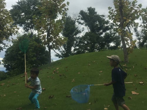 季節を感じながら昆虫採集など自然豊かな体験