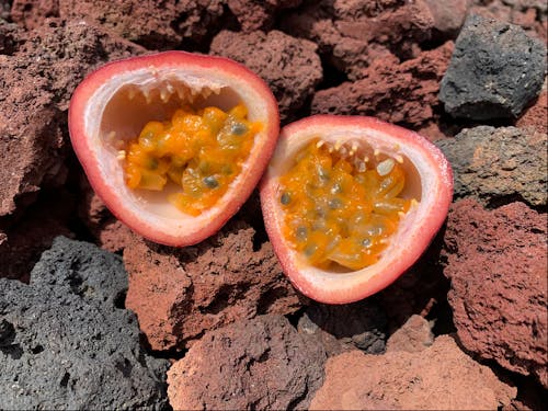 パッションフルーツを割ってみた