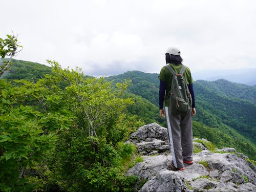美しい白岩山の山頂