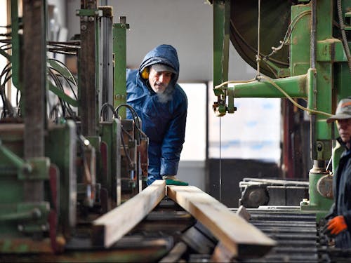 地域の木を挽き続けてきた、老舗の製材所。「株式会社有賀製材所」さん。