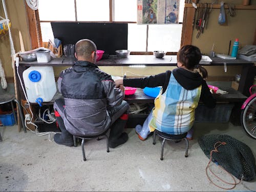 夫婦の時間も多く、この日も冗談交じりの会話を楽しみながら、ウニの実を洗っていた。