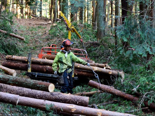 山主さんに寄り添った山造りをしている、金井山素材。
