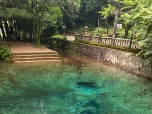 不思議なほど美しい透き通ったブルーの水の弁天池