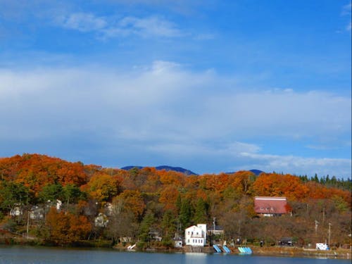 ゲストの東山さんのゲストハウスそばの紅葉の様子