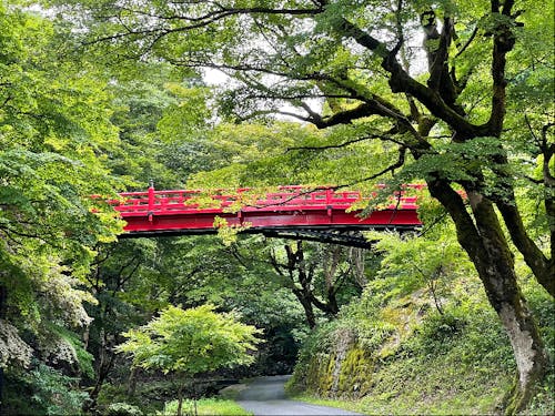 養父神社