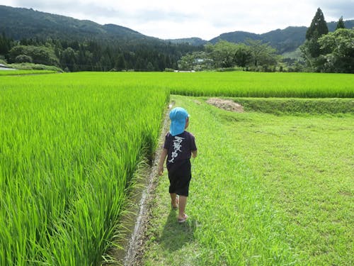 畔道を歩く様子◎集落を一緒に歩いてみませんか?