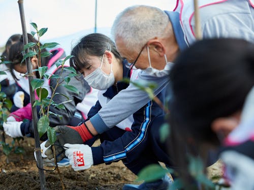 地域のお手伝い体験の一例(椿の植樹)
