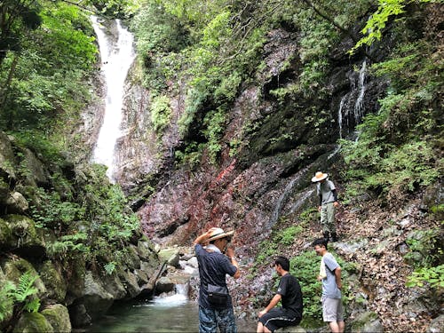 街場から徒歩圏内に滝があります 夏は涼しく気持ちいい!
