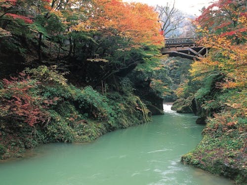 観光名所「鶴仙渓」、川沿いにある温泉街は来るものを癒す力がある