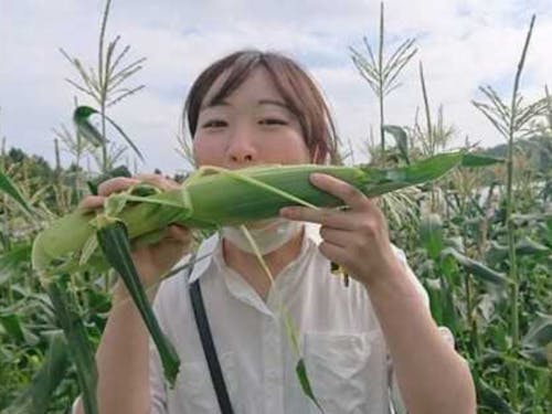 事務局　那須さん