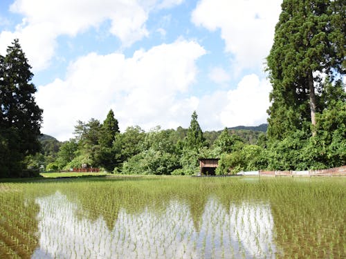 こんな豊かな自然のなかで一緒に活動しましょう
