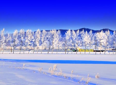 冬の栗山町の風景