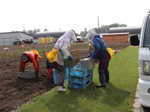 公園作業員の作業指示も大事な業務のひとつです。