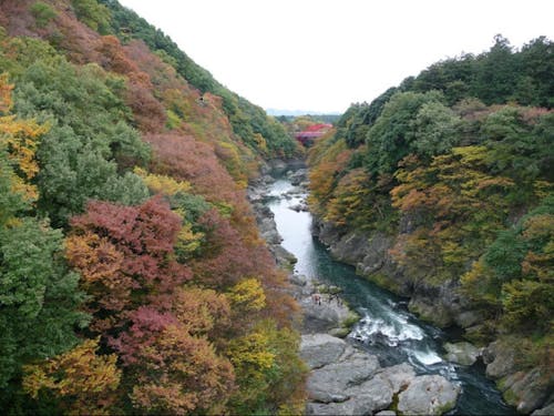 風光明媚な自然あふれるみどり市