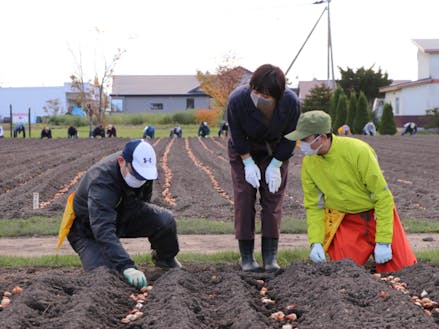 球根植え付けを行う10月は町内学生や町民によるボランティアも。
