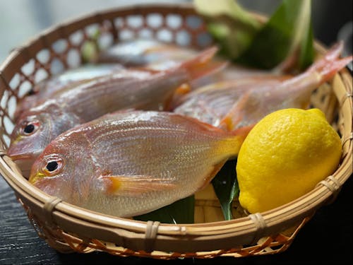 中村さんのレンコ鯛の干物などのごはんのお供セット（イメージ）