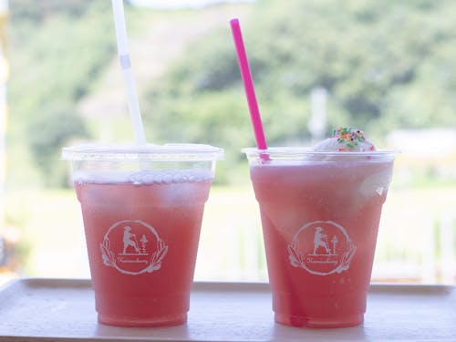 熊野やまももジュース(駅ナカで販売中)