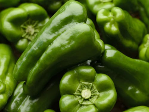 日本一の生産量を誇るピーマン