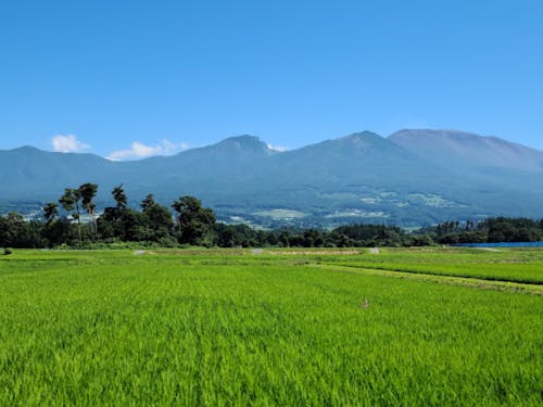 晴天率も良く気持ちの良い景色☆