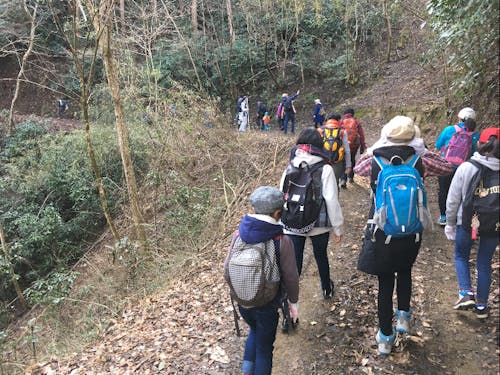 親子登山 初心者でも登れるコースを高千穂山の会さんが案内