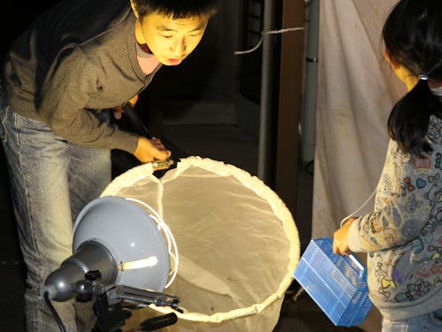 五ケ所高原での夜間昆虫採取。夏休み昆虫教室の様子。