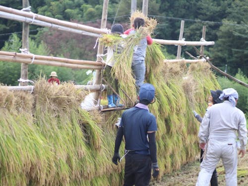 ぼくらの学校(奥出雲町)