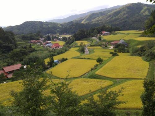 奥出雲町の素晴らしい棚田