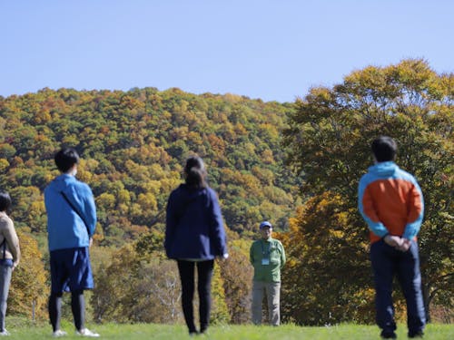 自然の中でのワーケーション（森林セラピー）