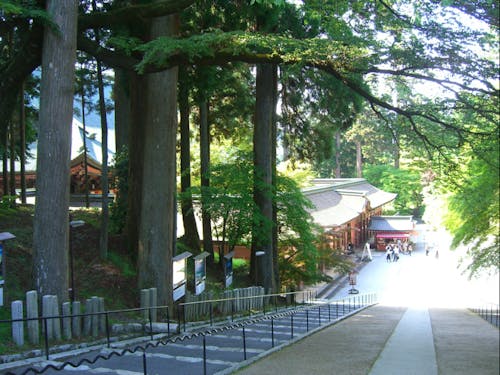 京都市と大津市にまたがる比叡山延暦寺