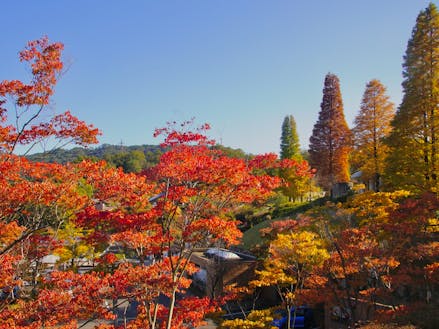琵琶湖はなくとも圧倒的な山々の情景がある甲賀市。