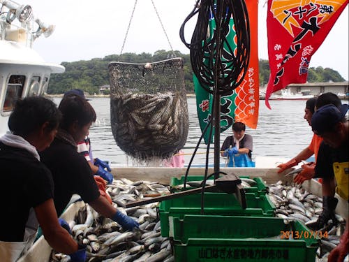 漁師さんが獲ってくれた魚が皆さんの食卓に並びます。
