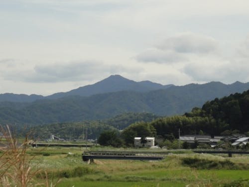 佐濃地区の里山の様子