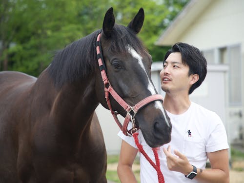 Horse Sharing 神瑛一郎さん