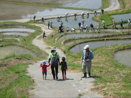 棚田の田植え　里の暮らし