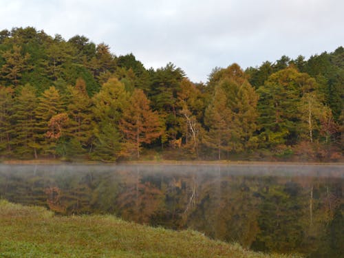 お休みの日は近くの自然に触れて