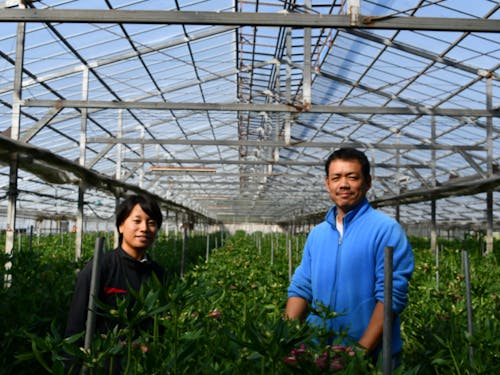 収穫や栽培を体験して覚える機会に