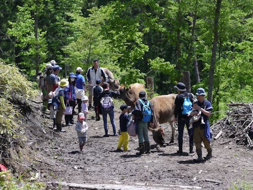 つながりの写真 2