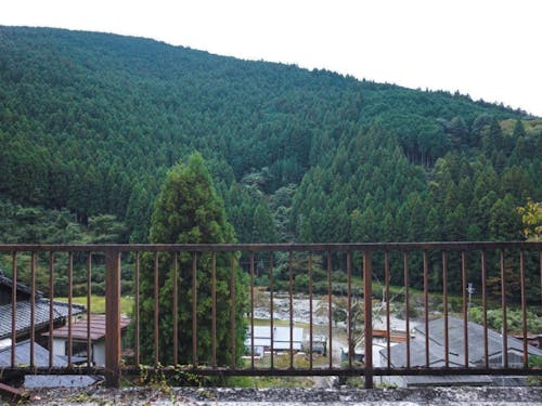 デッキから目の前に広がる大自然